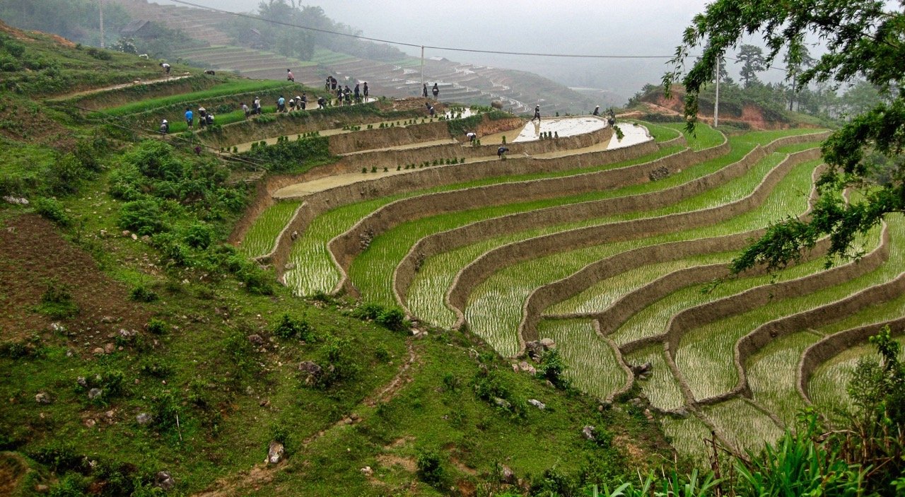 Sapa Cycling Tour From Hanoi: The Definitive Guide to Pedaling Through the Roof of Indochina